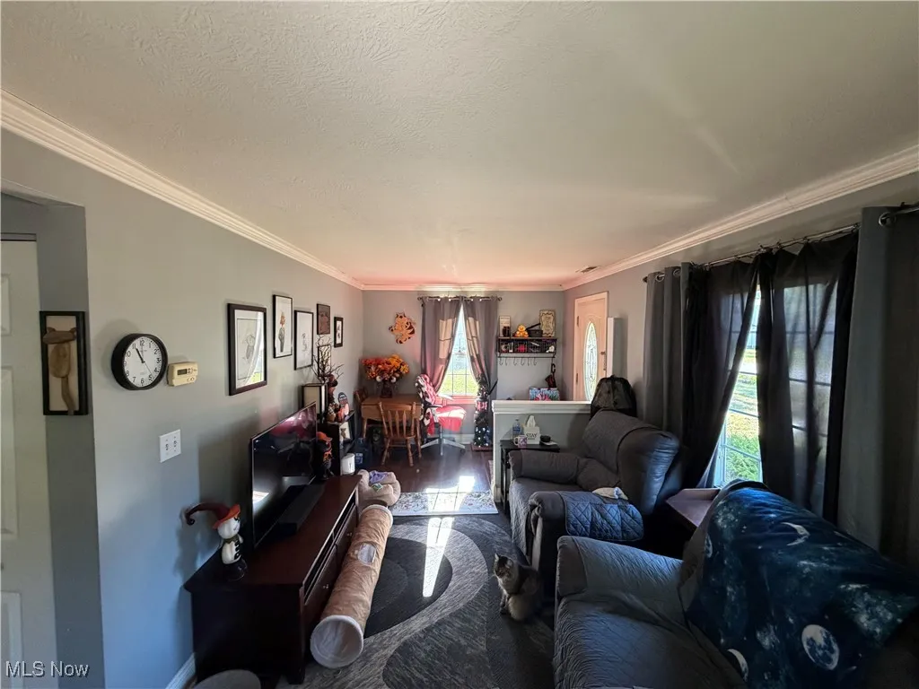 Living area with healthy amount of natural light, ornamental molding, and a textured ceiling