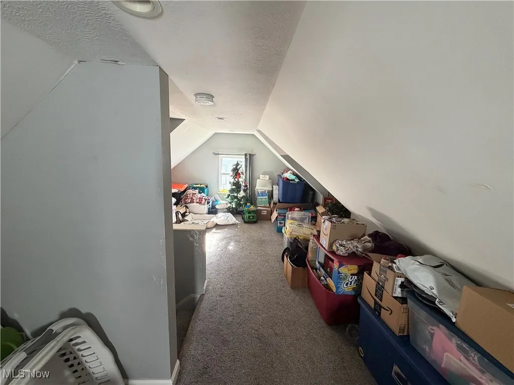 Additional living space featuring carpet, lofted ceiling, and a textured ceiling