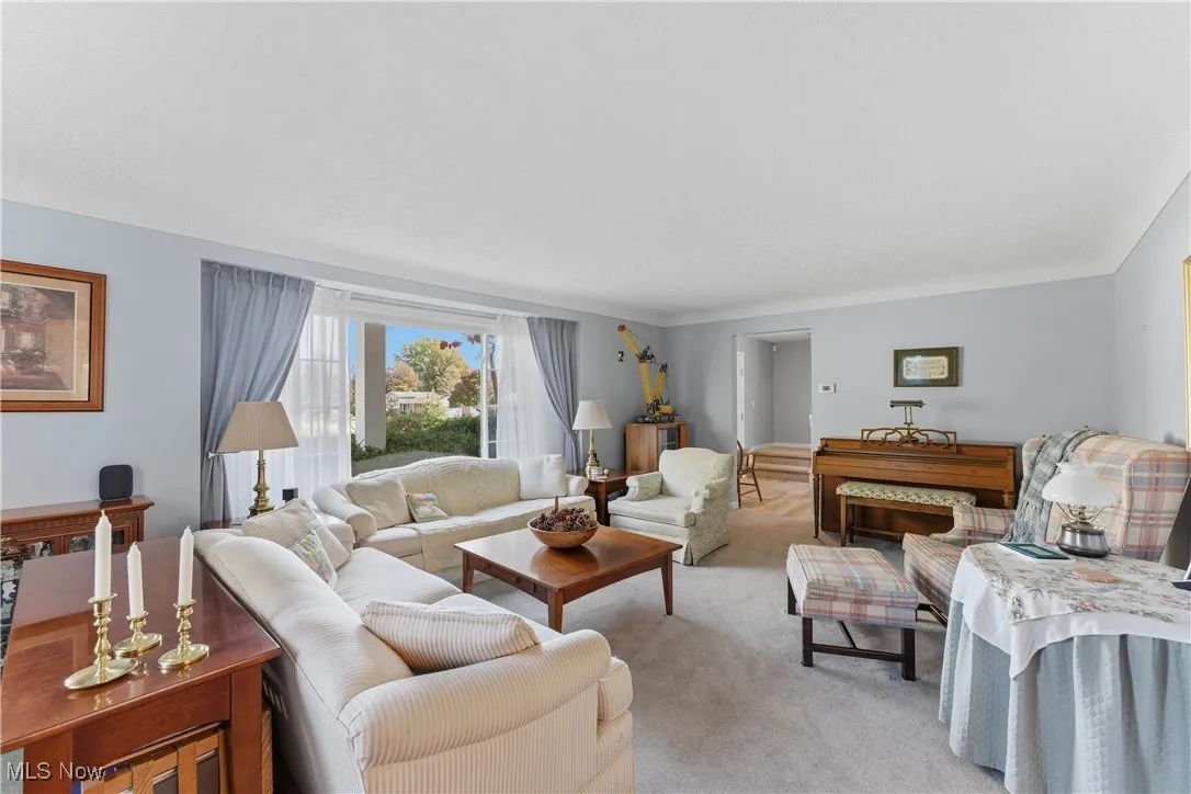 Living area featuring carpet flooring