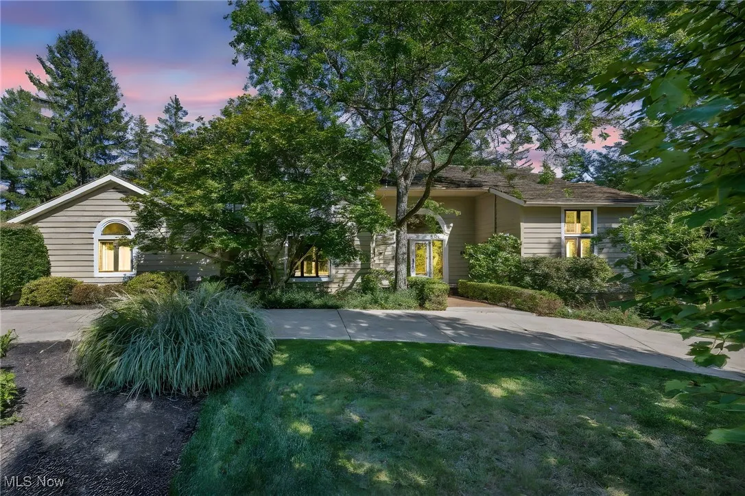 Obstructed view of property with a front yard
