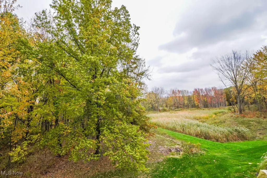 Views of wooded trails