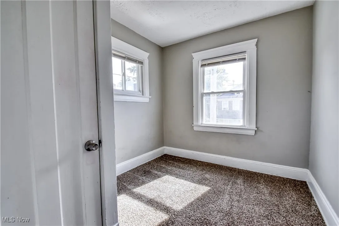 Carpeted spare room featuring plenty of natural light