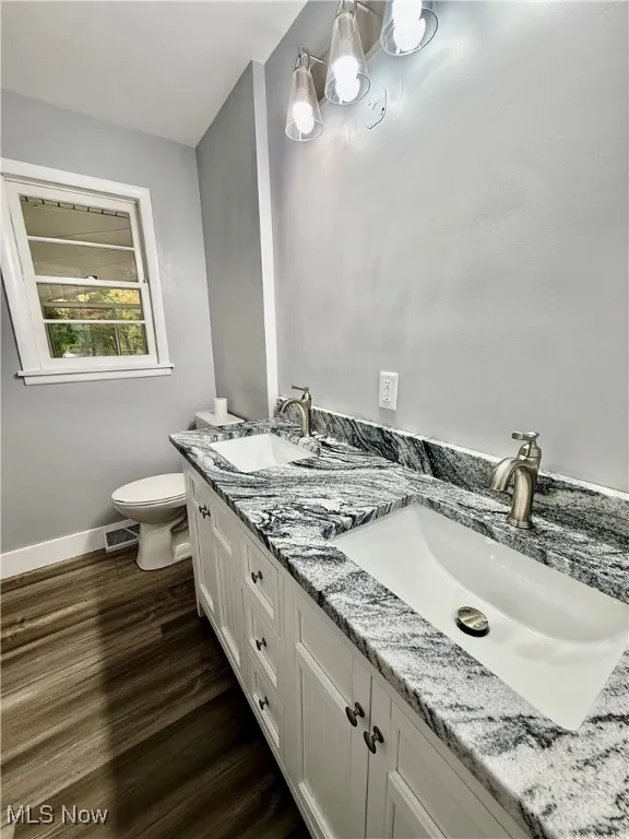 Bathroom featuring double vanity and dark wood-style floors