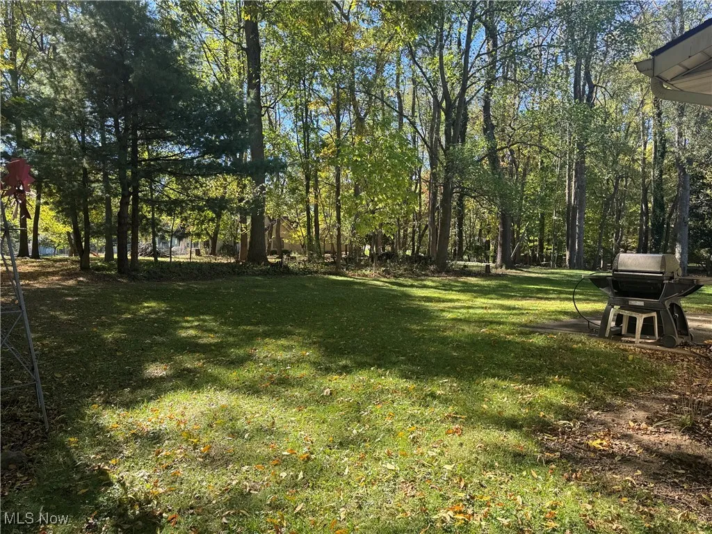 View of green lawn