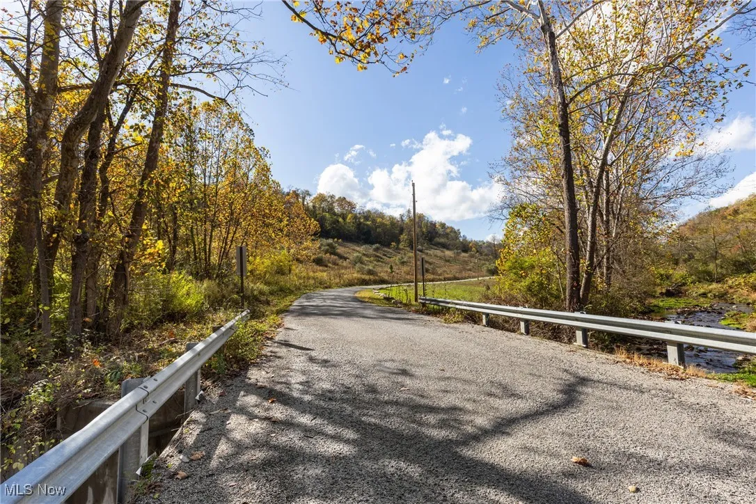 View of road with a forest view