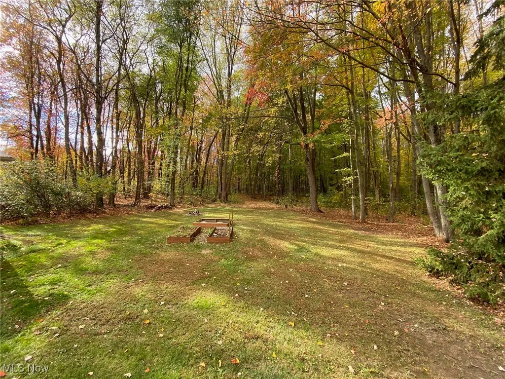 6132 Paine Road, Painesville, Ohio 44077,MLS Now Listing ID