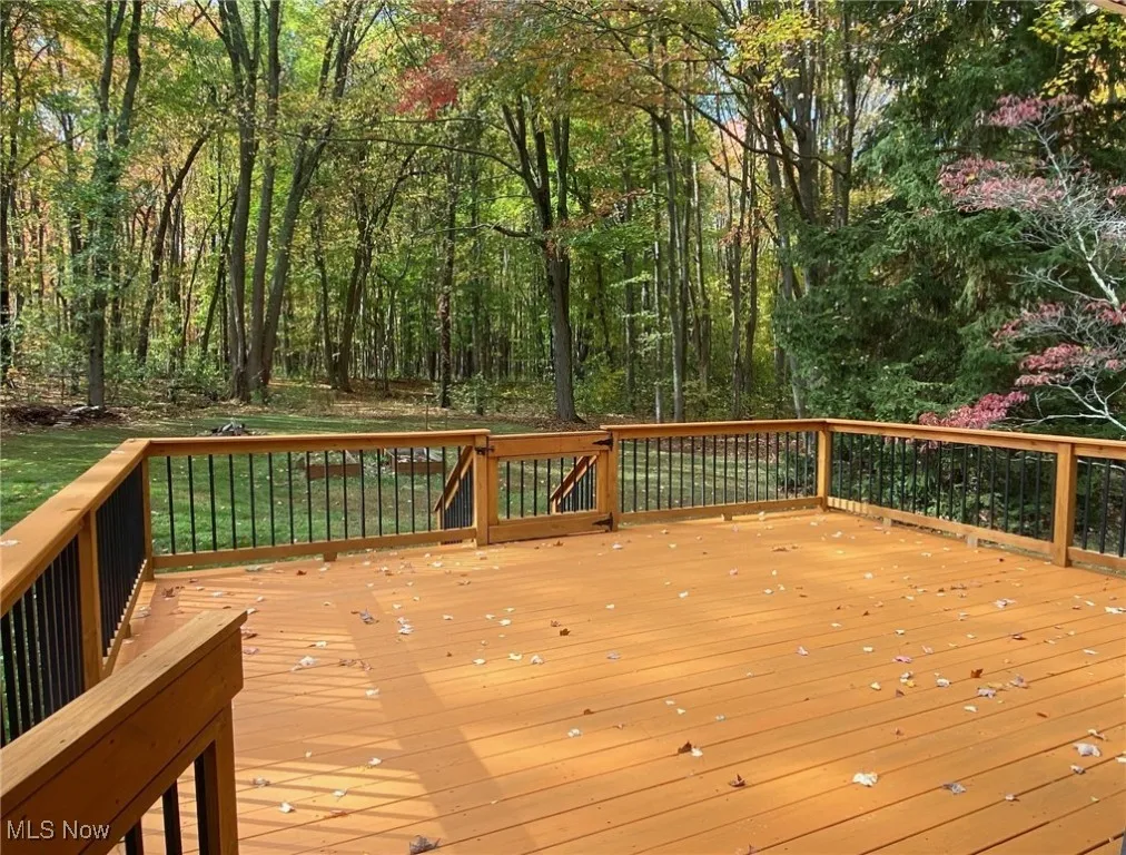 6132 Paine Road, Painesville, Ohio 44077,MLS Now Listing ID