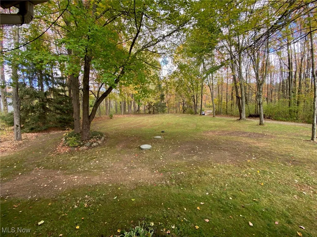 6132 Paine Road, Painesville, Ohio 44077,MLS Now Listing ID