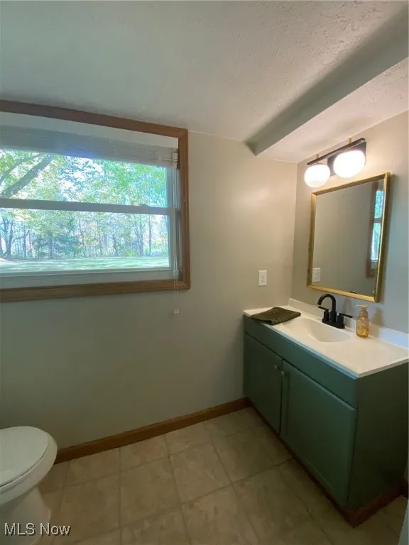 6132 Paine Road, Painesville, Ohio 44077,MLS Now Listing ID