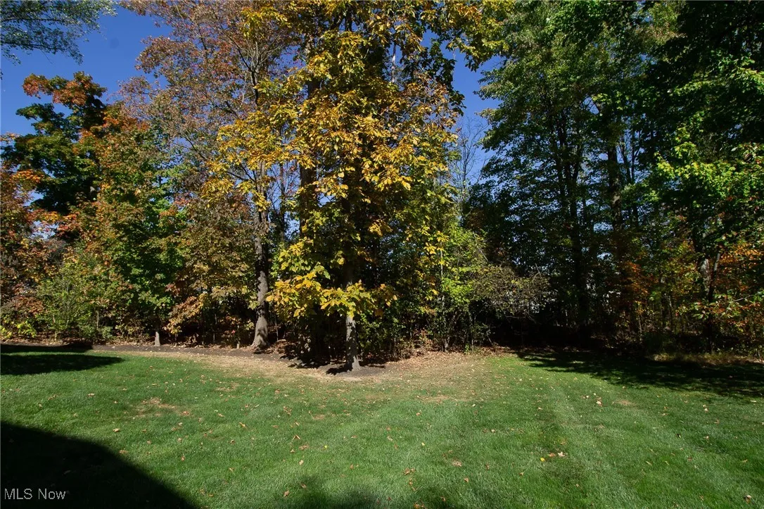 257 Sapphire Lane, Streetsboro, Ohio 44241,MLS Now Listing ID