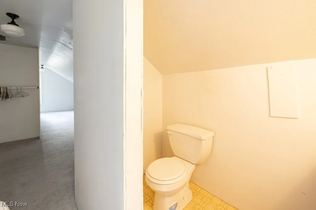 Bathroom featuring vaulted ceiling and carpet floors