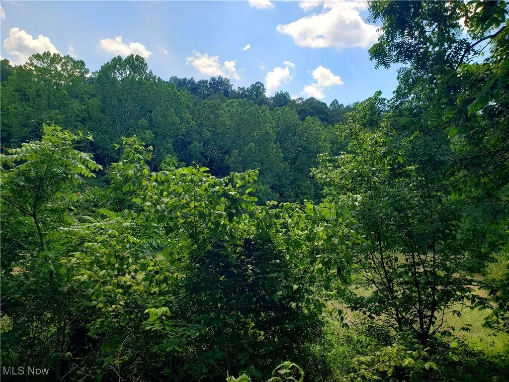 1617 Elk Fork Road, Gandeeville, West Virginia 25243,MLS Now Listing ID