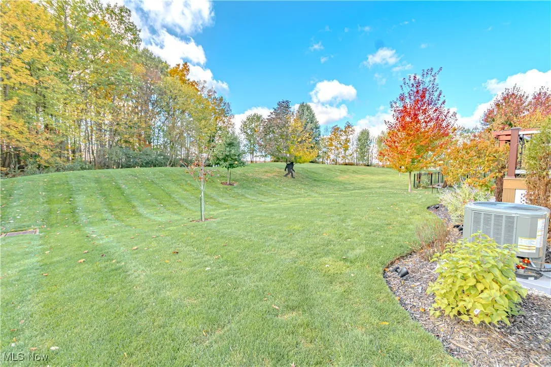 View of grassy yard featuring view of wooded area