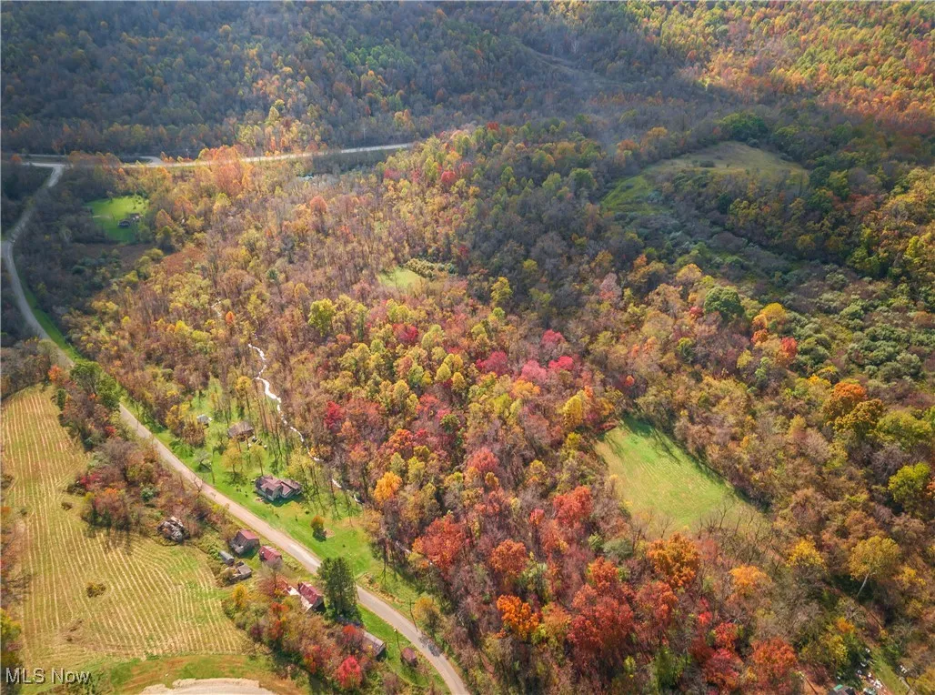 59501 Nevada Road, Quaker City, Ohio 43773,MLS Now Listing ID