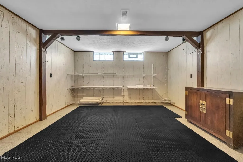 Basement featuring wooden walls