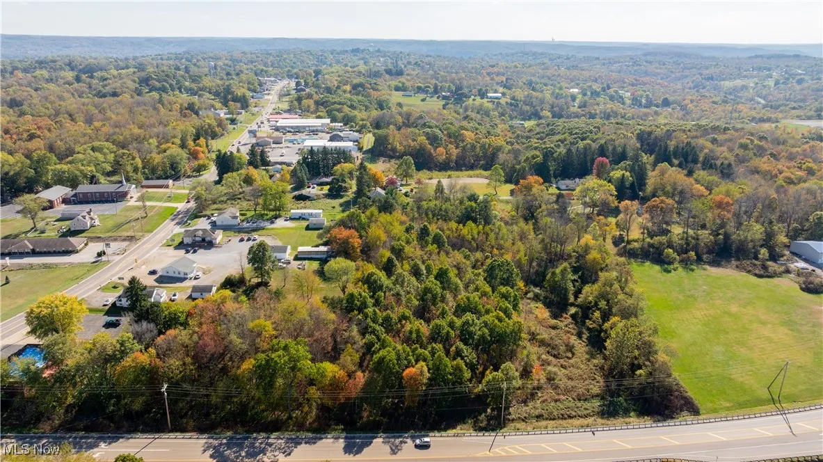 Bird's eye view of a forest