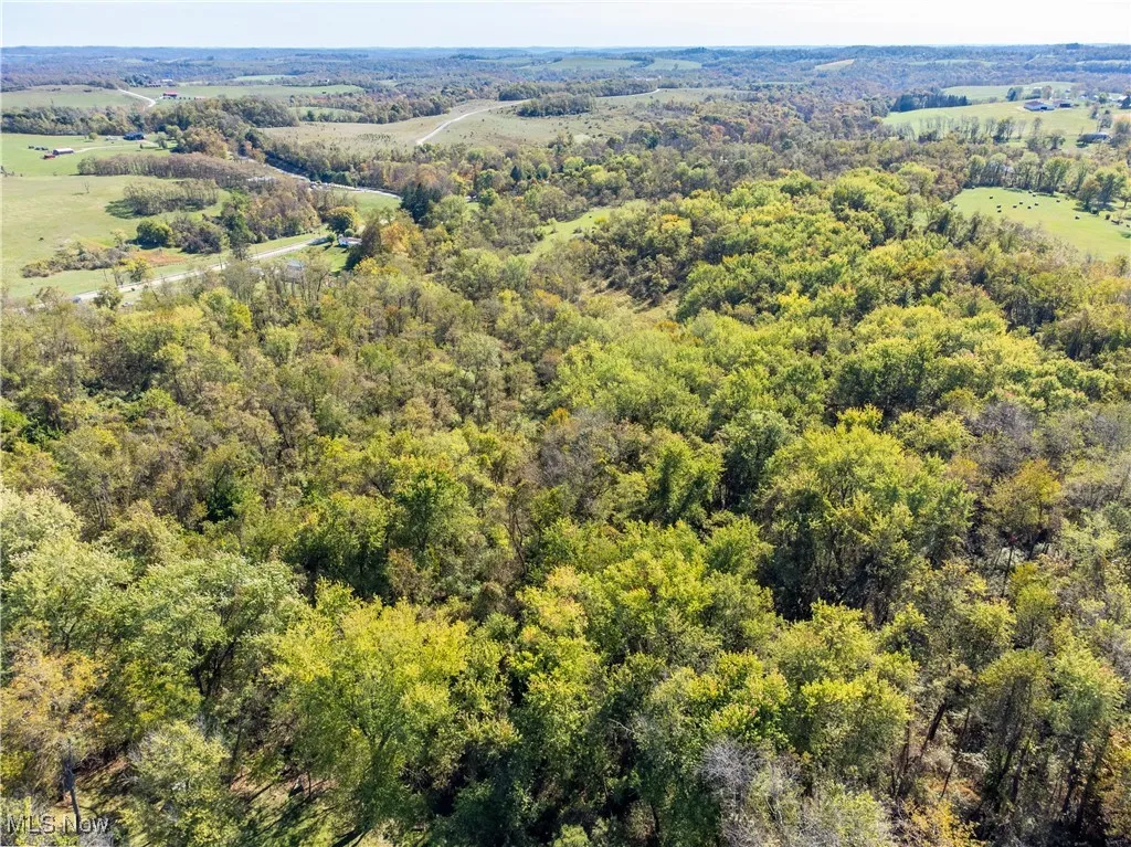 0 State Route 647, Mt Pleasant, Ohio 43939,MLS Now Listing ID