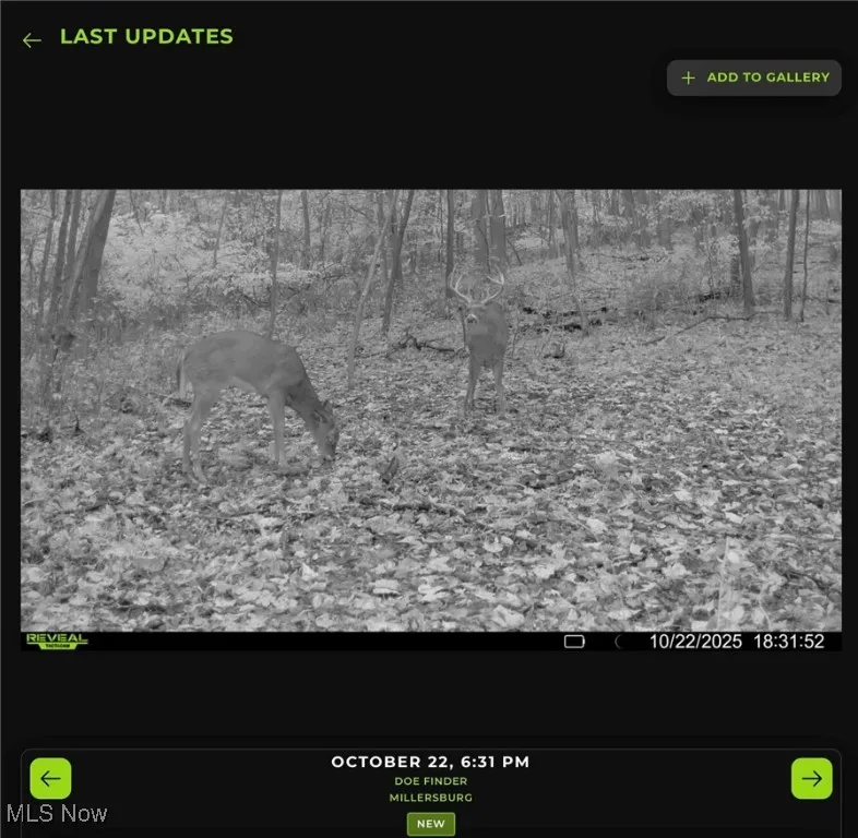 8800 Us-62, Killbuck, Ohio 44637,MLS Now Listing ID