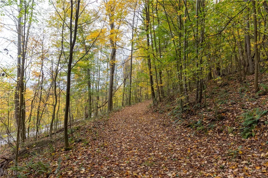 8800 Us-62, Killbuck, Ohio 44637,MLS Now Listing ID