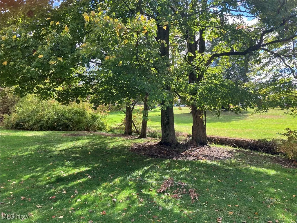 6247 Love Warner Road, Cortland, Ohio 44410,MLS Now Listing ID