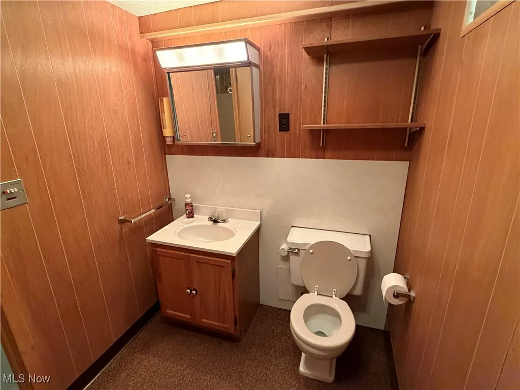 Bathroom with wood walls and vanity