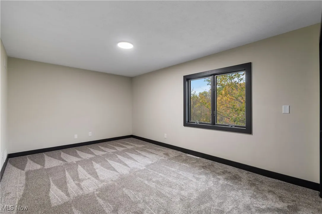 Unfurnished room with light carpet and baseboards