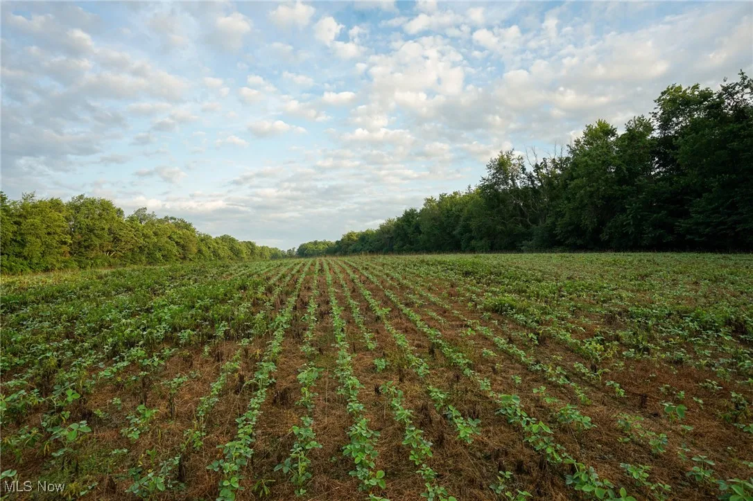 View of yard featuring agricultural area and a view of countryside