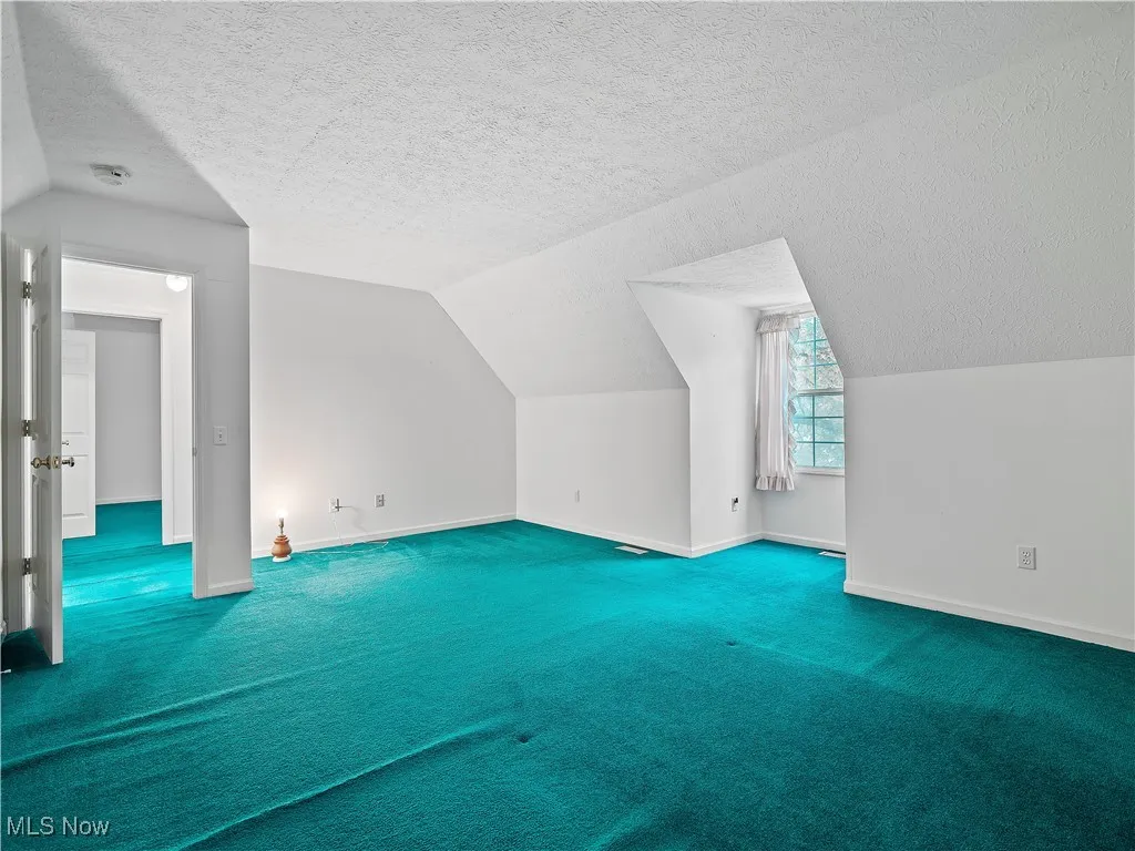 Additional living space with a textured ceiling, lofted ceiling, and carpet flooring