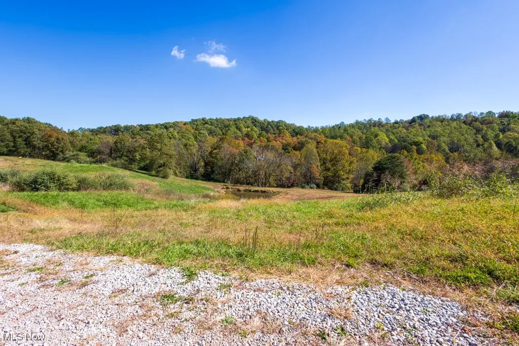 View of woods featuring a view of countryside