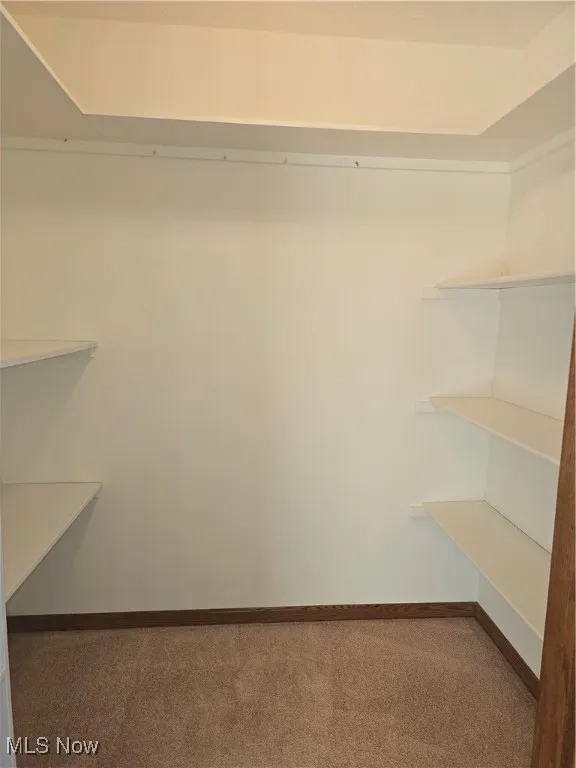 3rd bedroom walk in closet