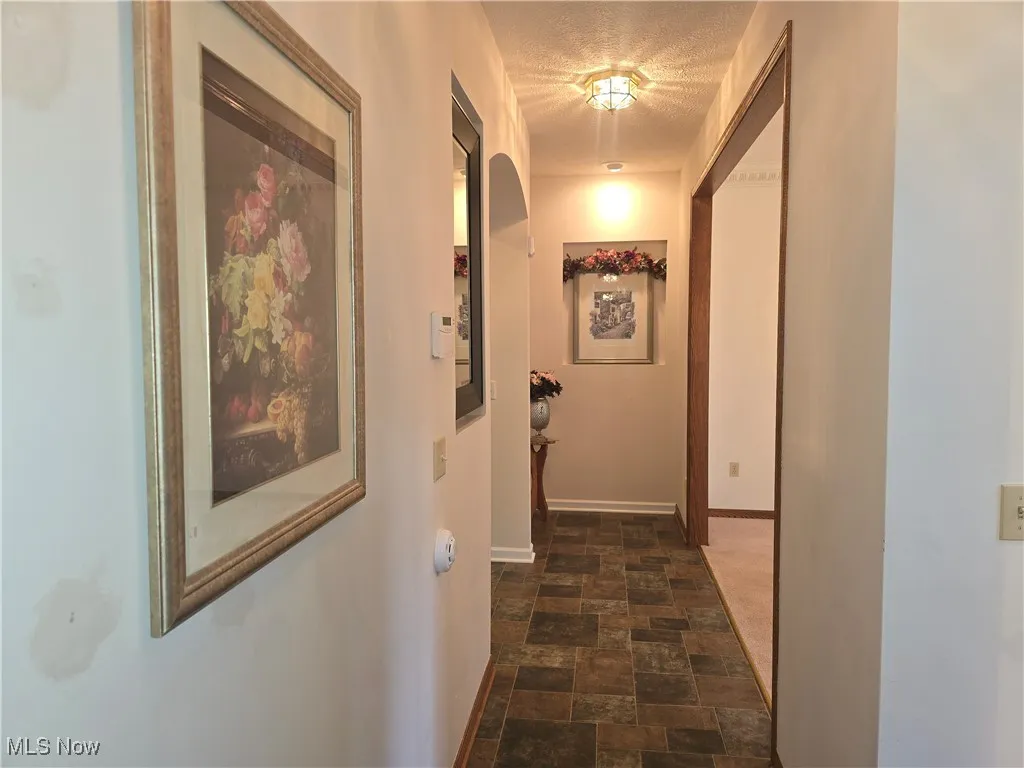 Hallway from entry leading to great room.