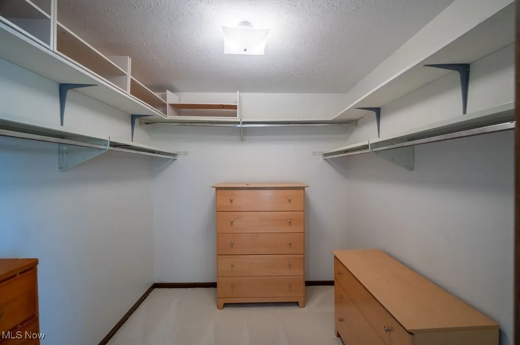 Walk in closet with light carpet