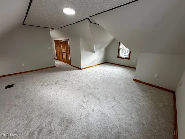 Additional living space featuring lofted ceiling, a textured ceiling, and carpet