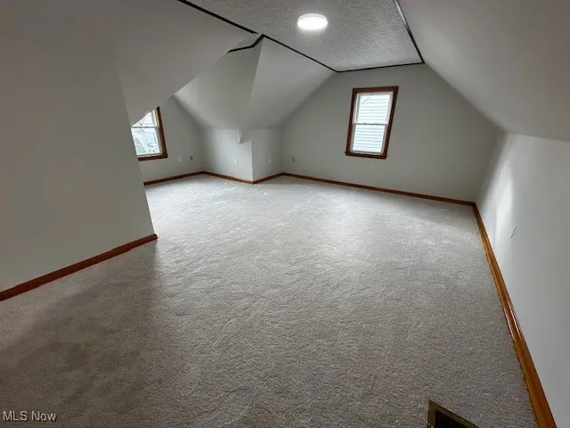 Additional living space featuring a textured ceiling, light colored carpet, and vaulted ceiling