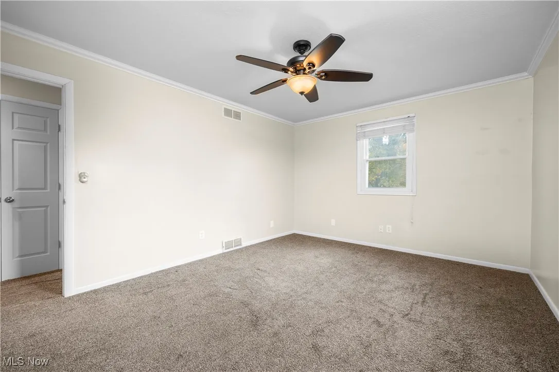 Spare room with ornamental molding, carpet, and a ceiling fan