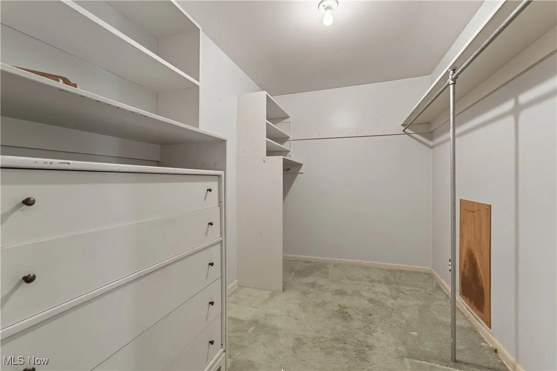 Spacious closet featuring light carpet