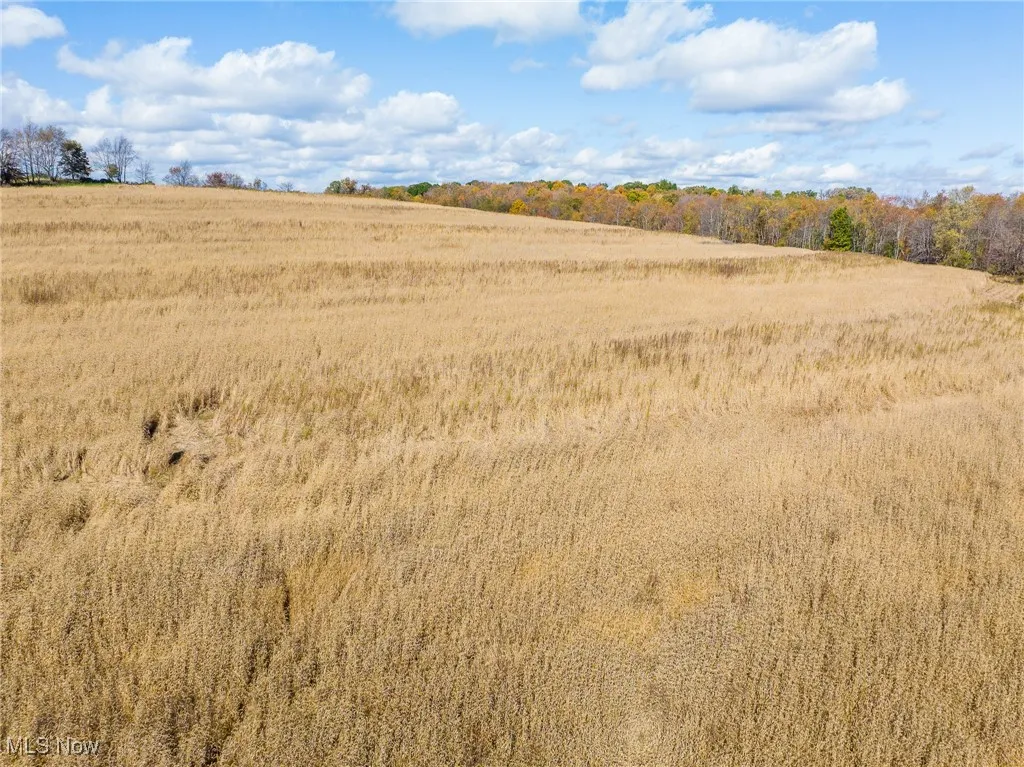 View of local wilderness featuring rural landscape