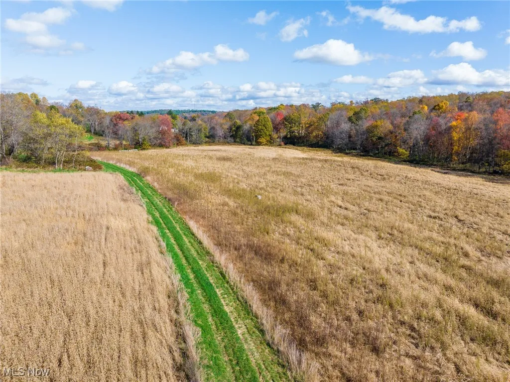 Aerial view of sparsely populated area with a heavily wooded area