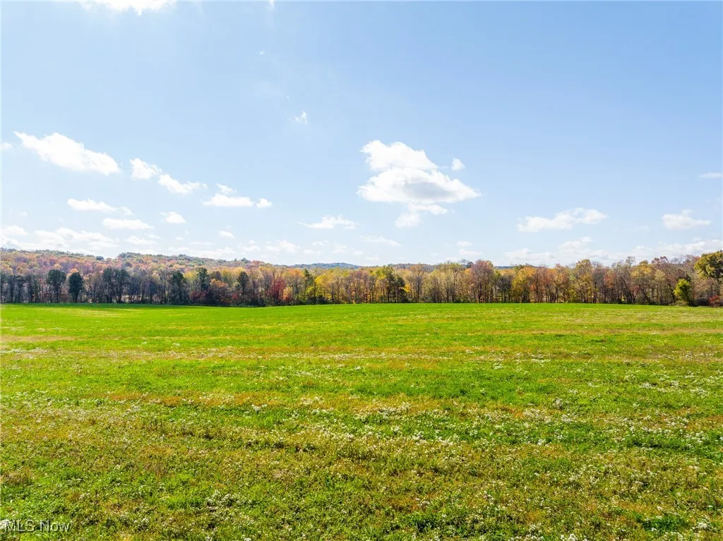 View of tree filled area