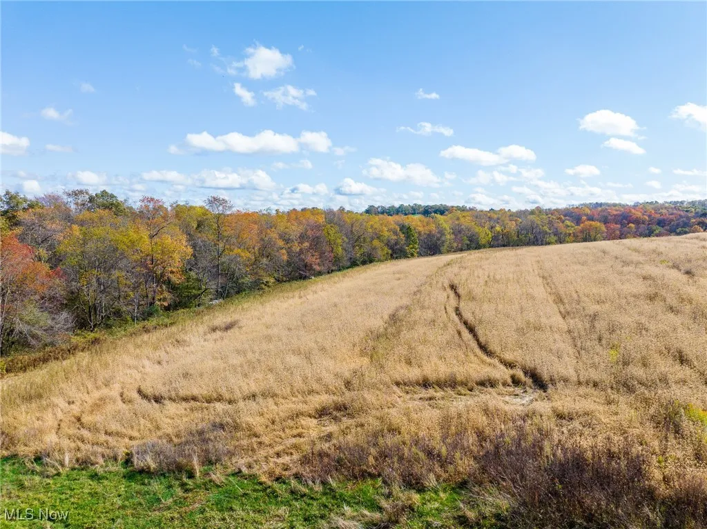 View of wooded area featuring a view of countryside