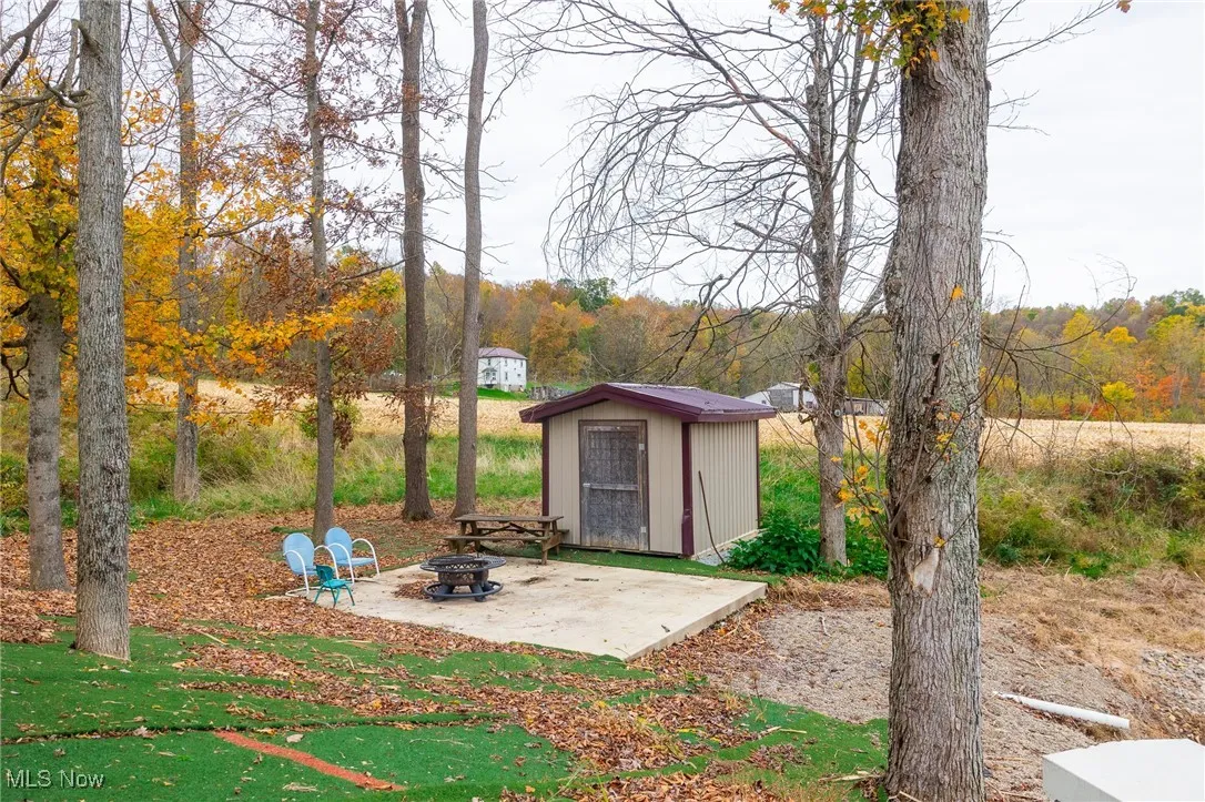 View of yard with an outdoor fire pit, a patio, and a storage unit