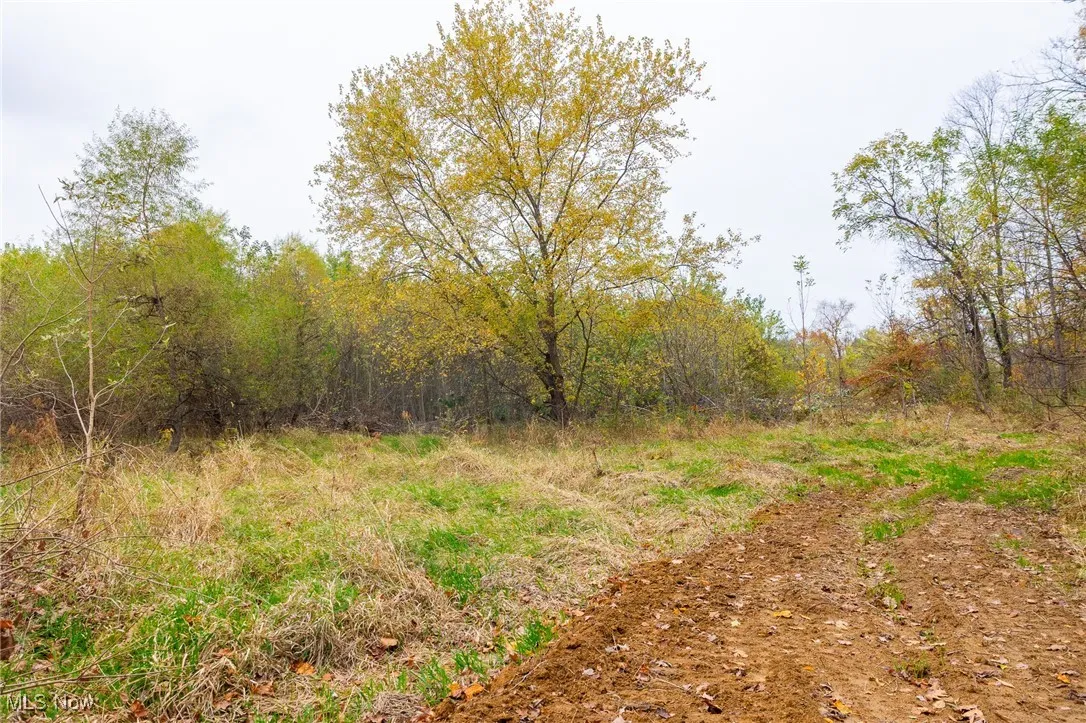 View of nature