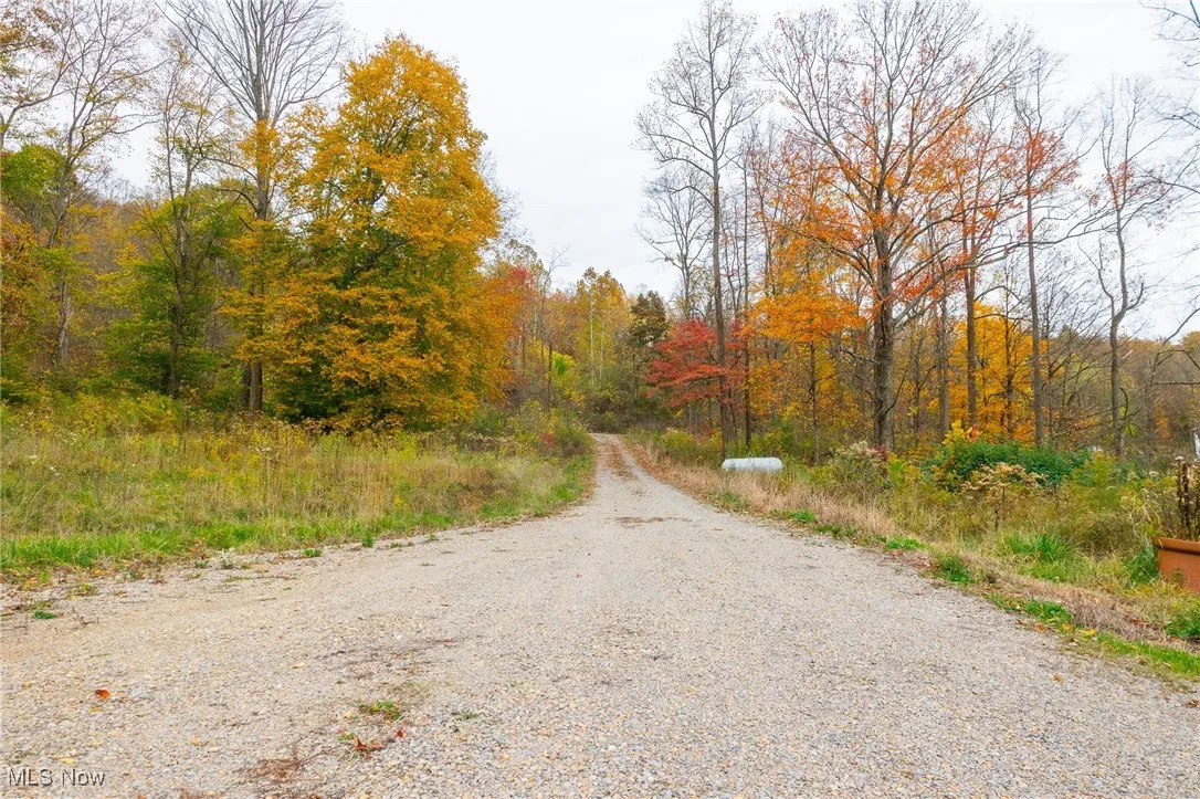 View of dirt / gravel road featuring a wooded view