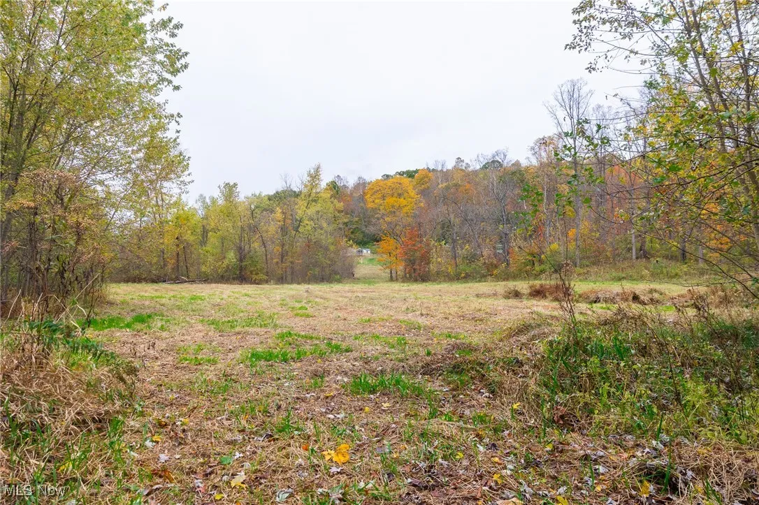 View of yard with a forest view