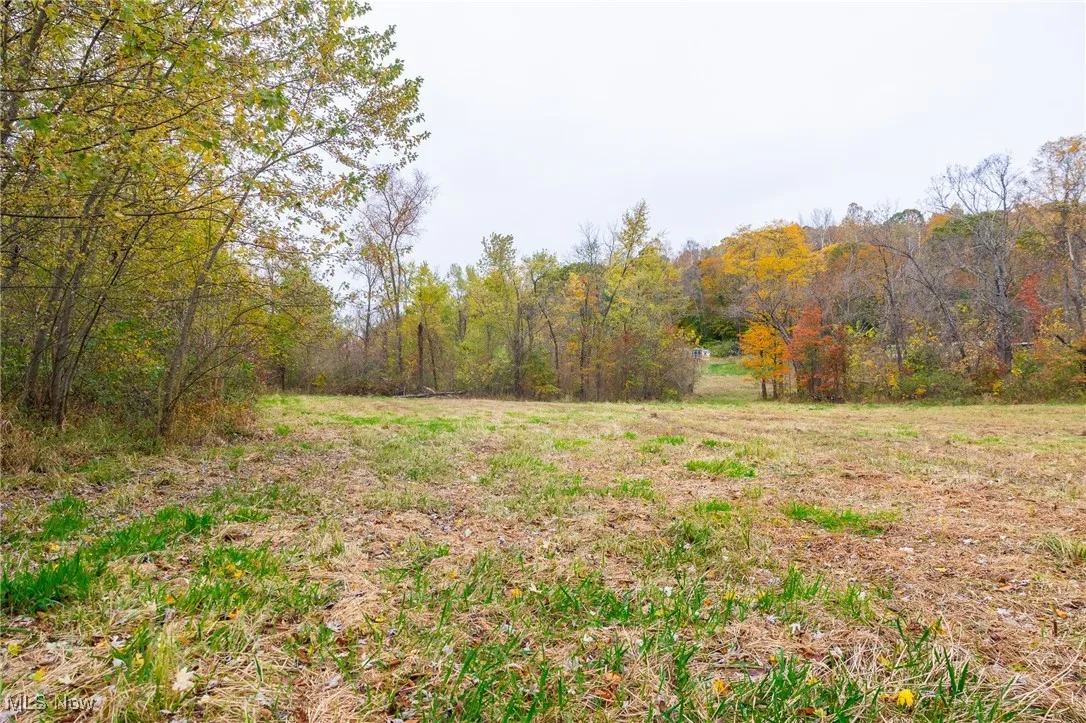 View of yard featuring a forest view