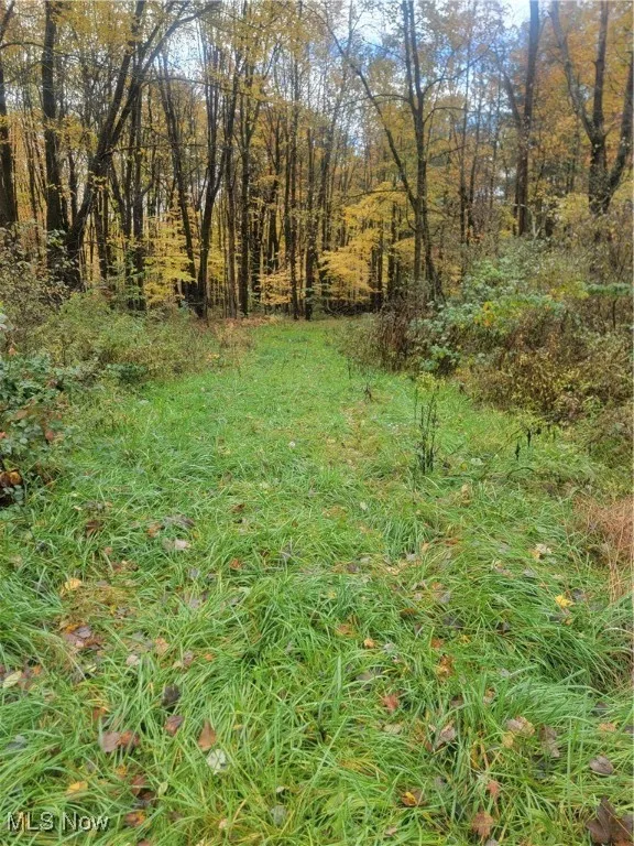View of yard with a view of trees