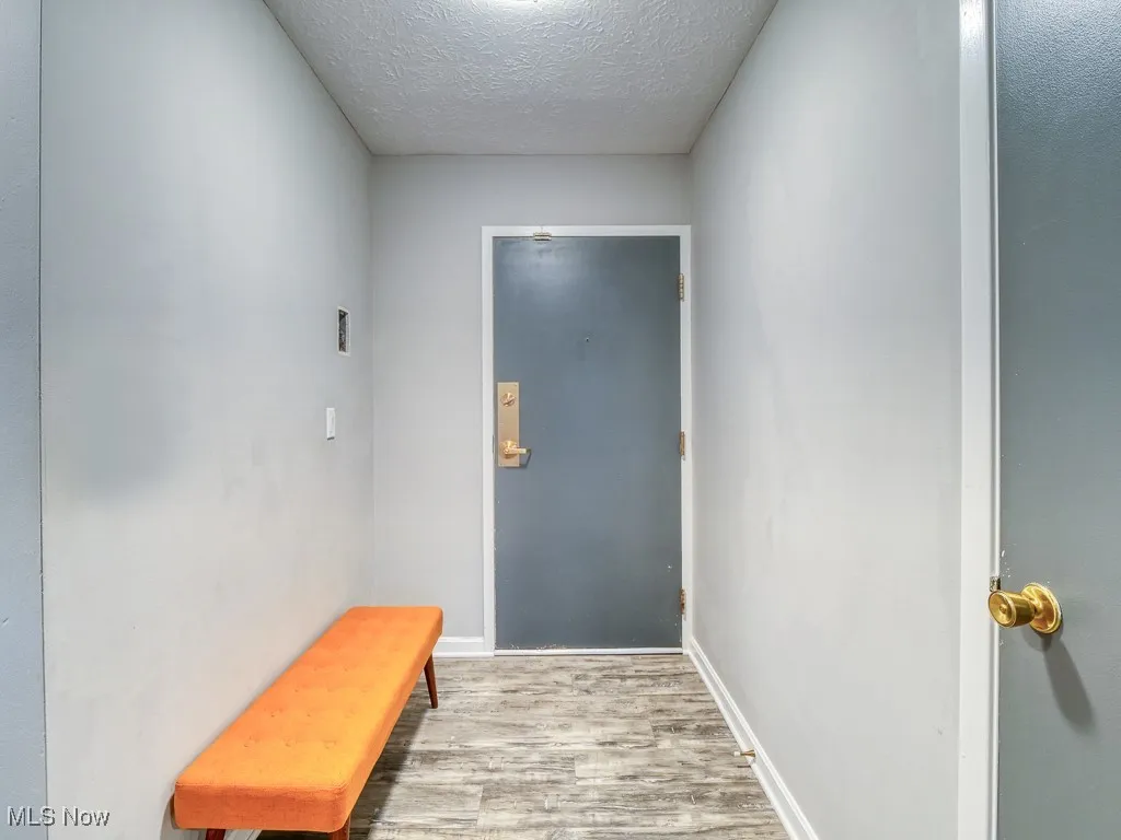 view of entryway facing front door