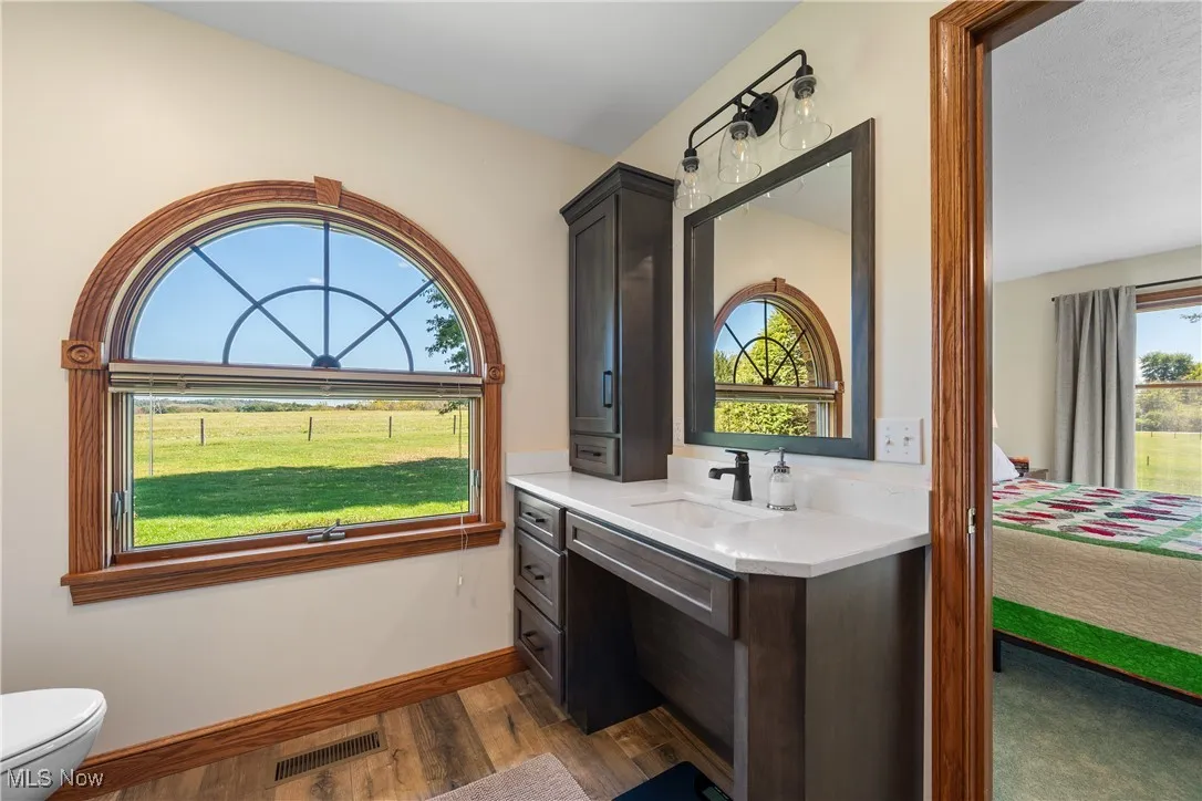 Bathroom with vanity, healthy amount of natural light, connected bathroom, and dark wood-style flooring