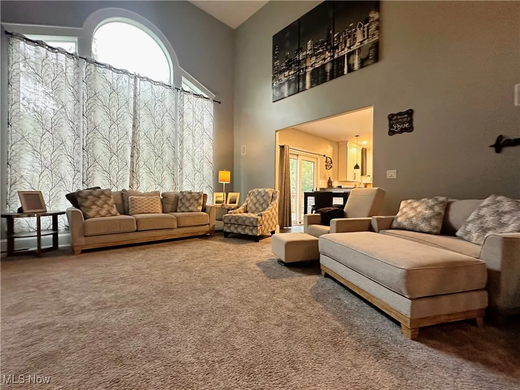 1002 Chestnut Circle, Warren, Ohio 44484,MLS Now Listing ID