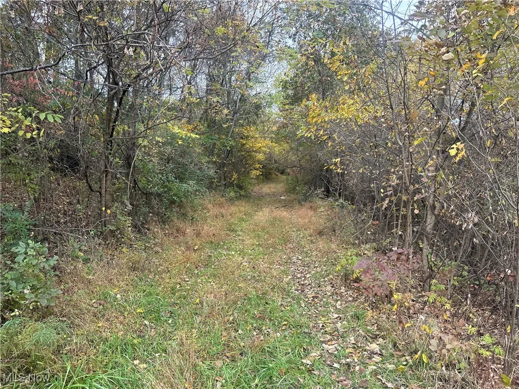 0 Pert Hill Road, Nashport, Ohio 43830,MLS Now Listing ID
